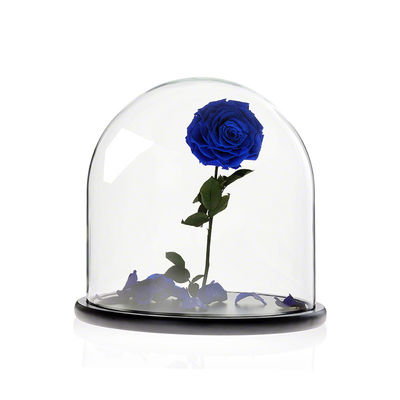 Borosilicate Large Glass Dome With Base , 20cm Height Glass Bell Cloche supplier