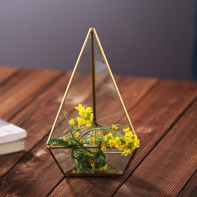 Handmade Glass Homeware Irregular Diamond Shaped Desktop Glass Terrarium Planter supplier