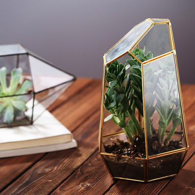 Large Terrarium Glass Homeware Hexagon Planter Container For Succulent Plant supplier