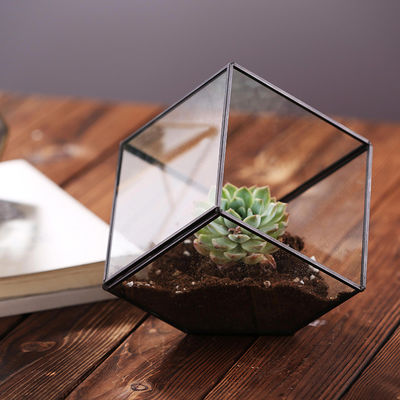 Geometric Cubic Moss Glass Homeware Flower Plant terrarium Planter Seamless Solder supplier