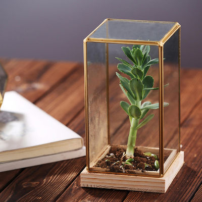 Rectangle Glass Homeware Decorative Succulent Plants Glass Terrarium With Wooden Base supplier