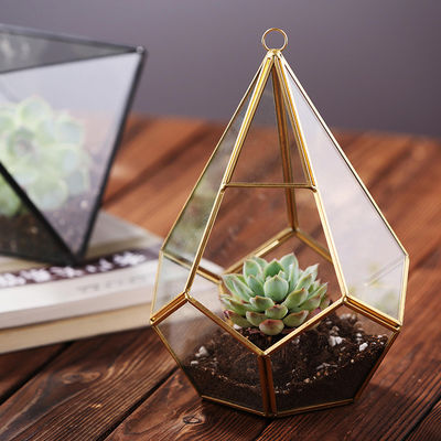 Hanging Flower Glass Homeware Succulent Plant Black Gold Geometric Glass Terrarium supplier
